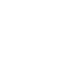 SMS